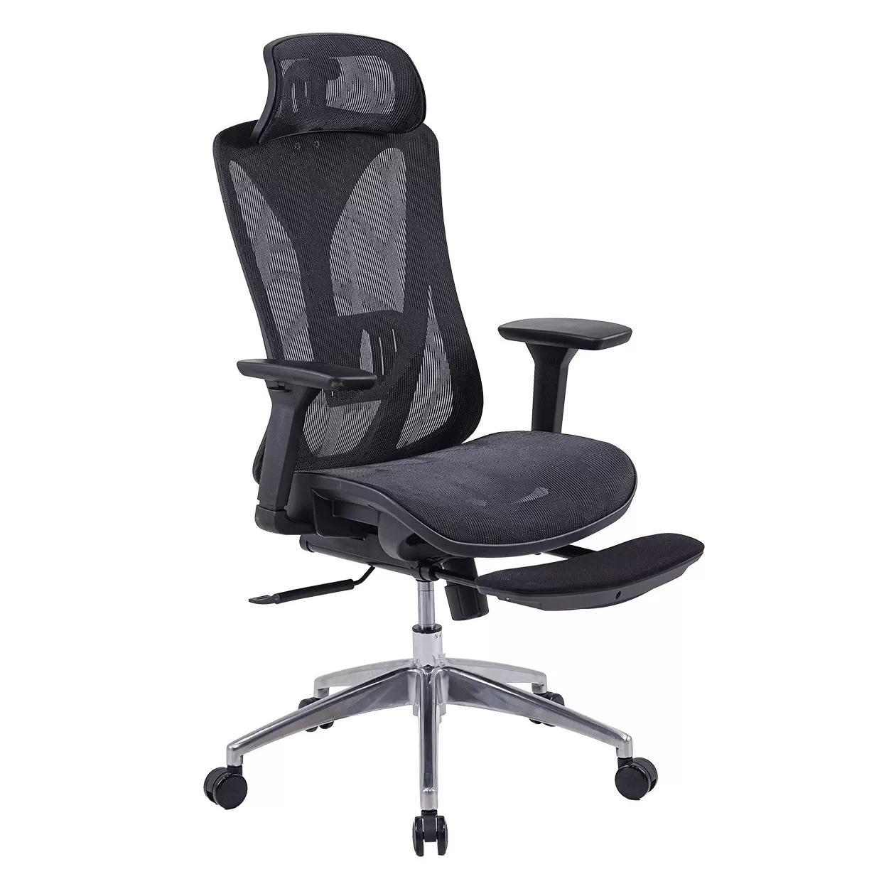 GHẾ CÔNG THÁI HỌC