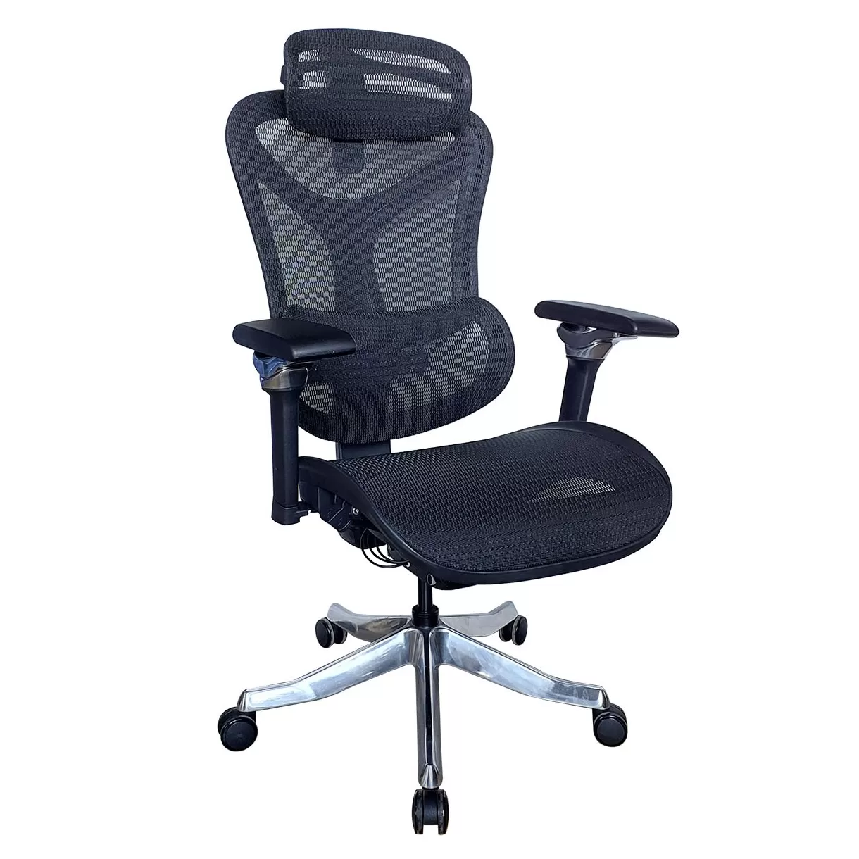 GHẾ CÔNG THÁI HỌC