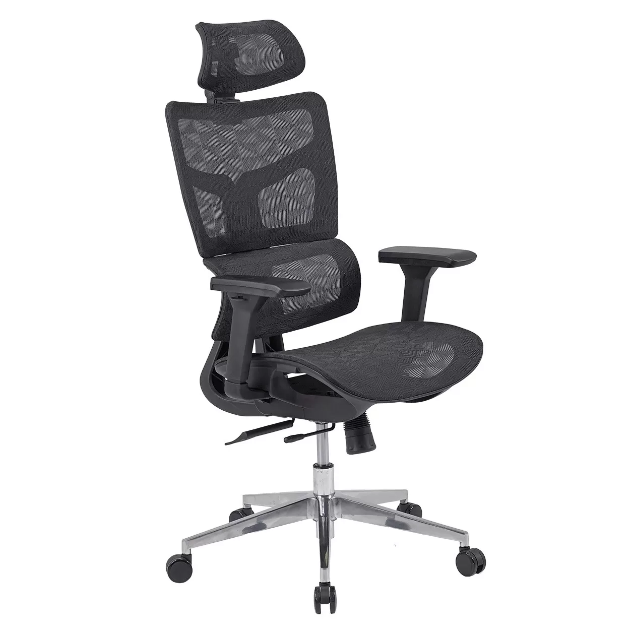 GHẾ CÔNG THÁI HỌC