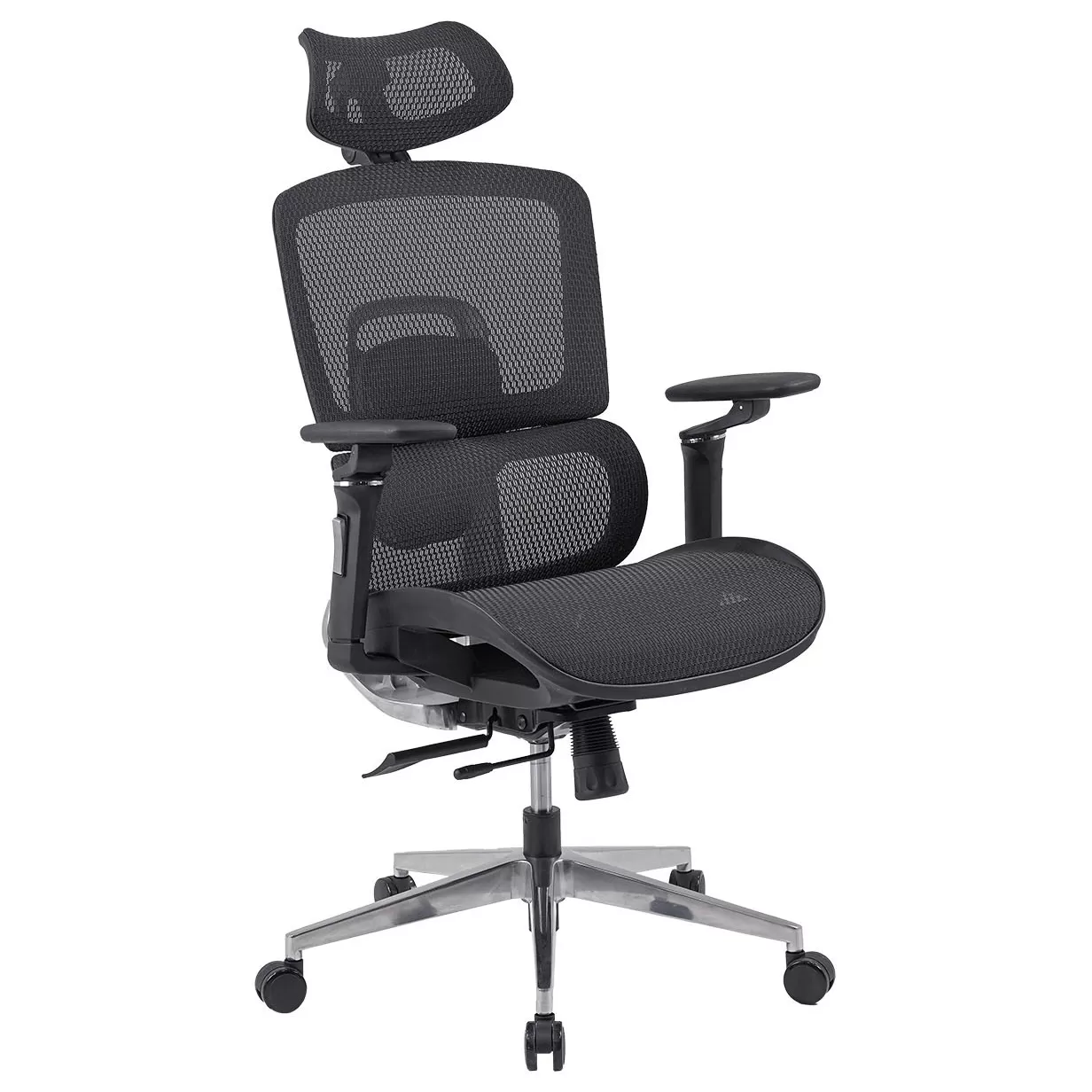 GHẾ CÔNG THÁI HỌC