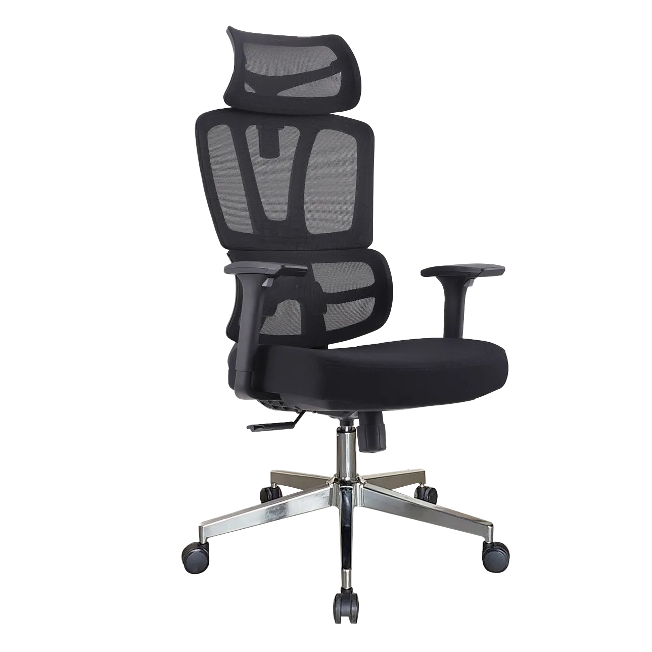 GHẾ CÔNG THÁI HỌC