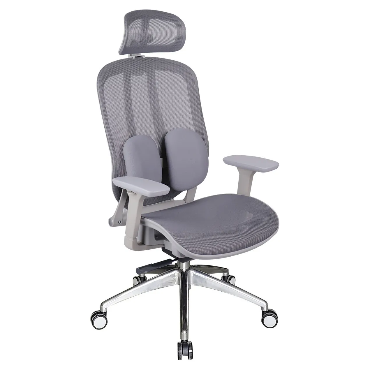 GHẾ CÔNG THÁI HỌC