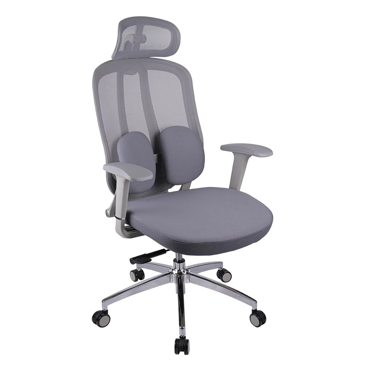 GHẾ CÔNG THÁI HỌC