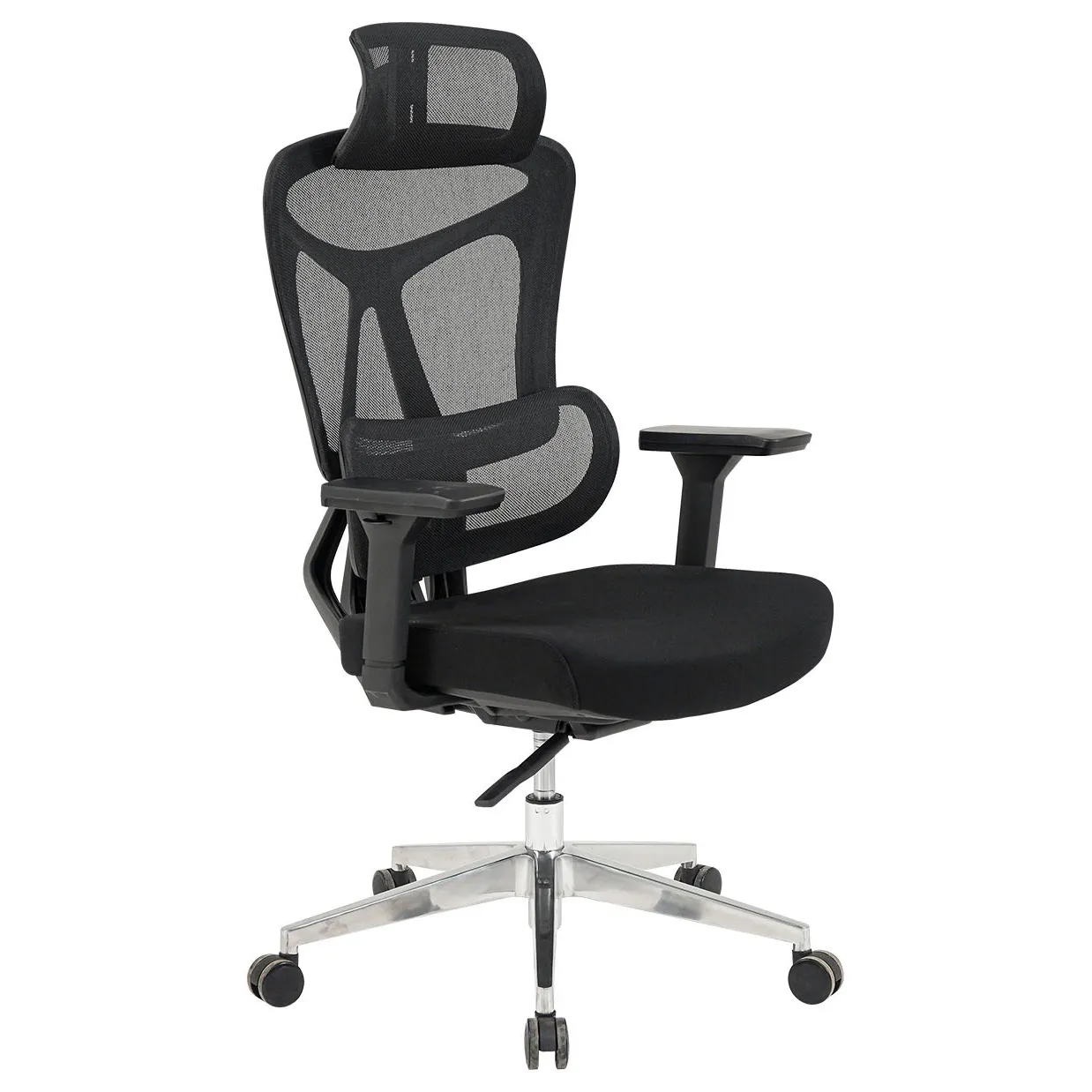 GHẾ CÔNG THÁI HỌC