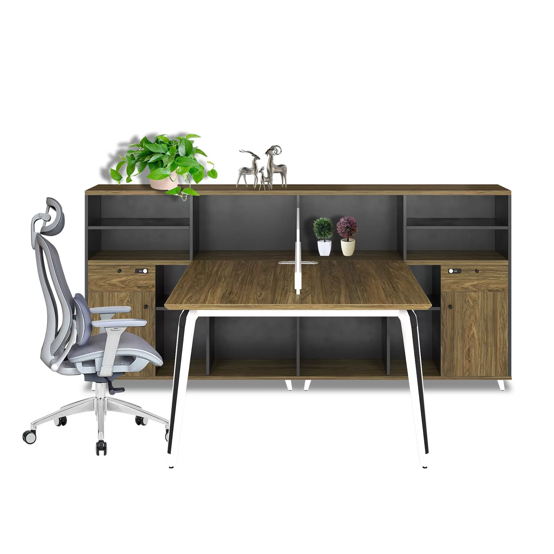 MODULE LÀM VIỆC STELLAR